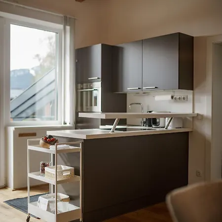 Pickl 아파트 람자우 암 다흐스타인