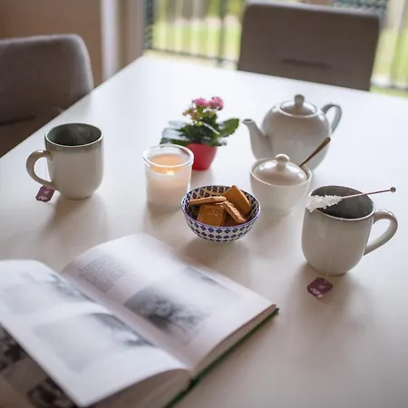 拉绍皮克公寓 *